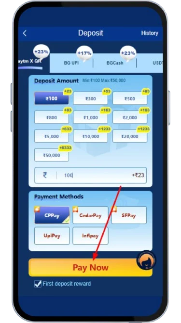 Click on pay now to deposit money